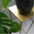 619c4267997edd5471f30df3cff7cf6a.jpg